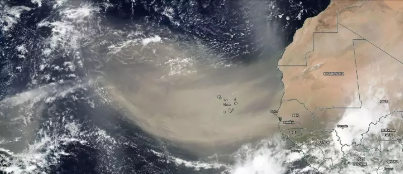 Nuvem de poeira do Saara avança para o Caribe e Flórida: impactos e alertas