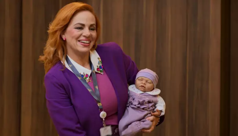 O que o enredo do bebê reborn revela sobre o remake de 'Vale Tudo'