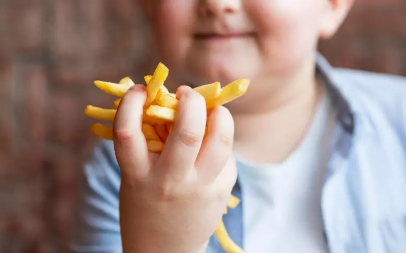Obesidade infantil atinge 3,1 milhões de crianças no Brasil: saiba como prevenir