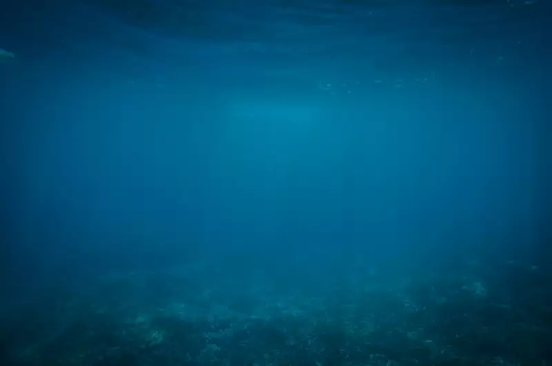 Oceano está ficando mais escuro: entenda as causas e impactos desse fenômeno alarmante