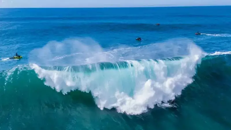 Oceanos à beira do colapso: ainda há tempo para salvá-los?