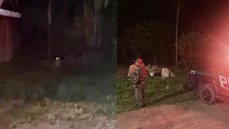 Onça-pintada é flagrada em área residencial de Mato Grosso do Sul durante patrulha noturna da PMA