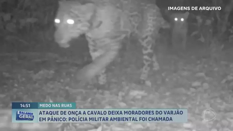 Onças no Varjão: Ataque fatal a cavalo deixa moradores em alerta no DF