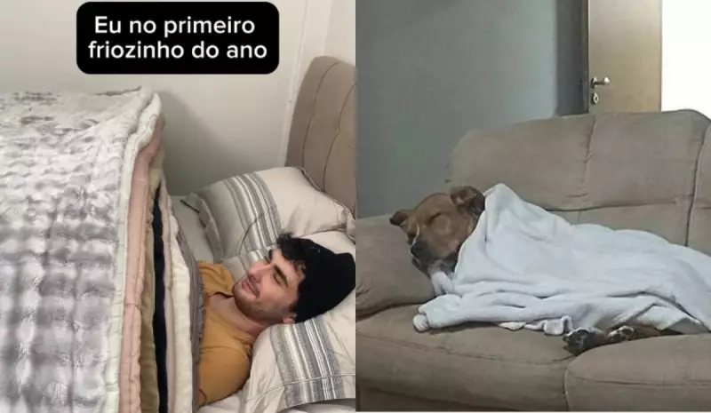 Onda de frio no ES vira hit nas redes: memes e dicas para enfrentar o gelo