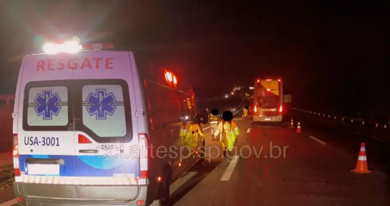 Ônibus atropela boi na rodovia Washington Luís em Rio Claro: veja detalhes