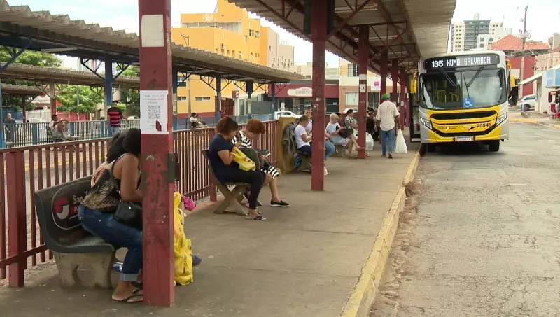 Ônibus gratuito em Presidente Prudente: nova lei entra em vigor e beneficia população