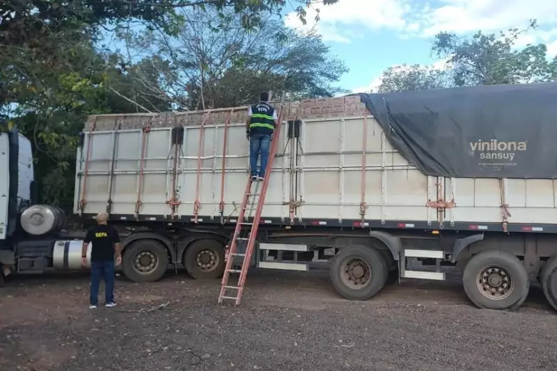 Operação apreende 25 toneladas de açaí e 77 mil garrafas de aguardente no Pará | G1