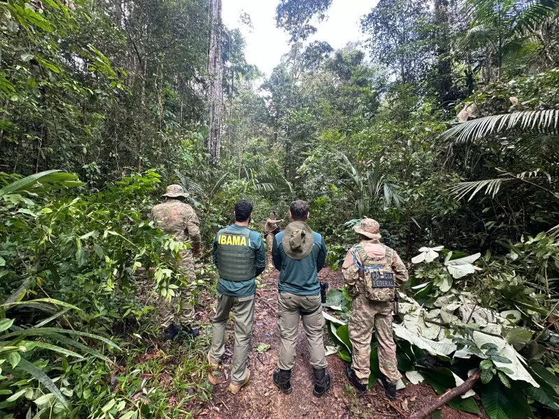 Operação contra garimpo ilegal no Amapá apreende escavadeiras, mercúrio e outros materiais