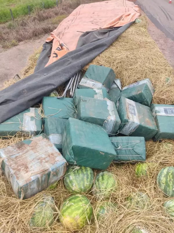 Operação da PF apreende meia tonelada de cocaína escondida em carga de melancias no Tocantins