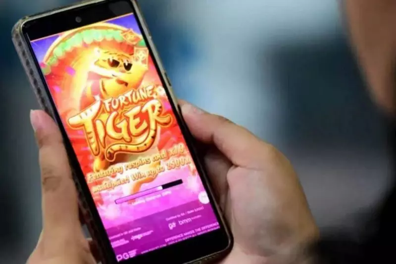 Operação da Polícia em SC bloqueia R$ 30 milhões ligados a jogos ilegais e lavagem de dinheiro