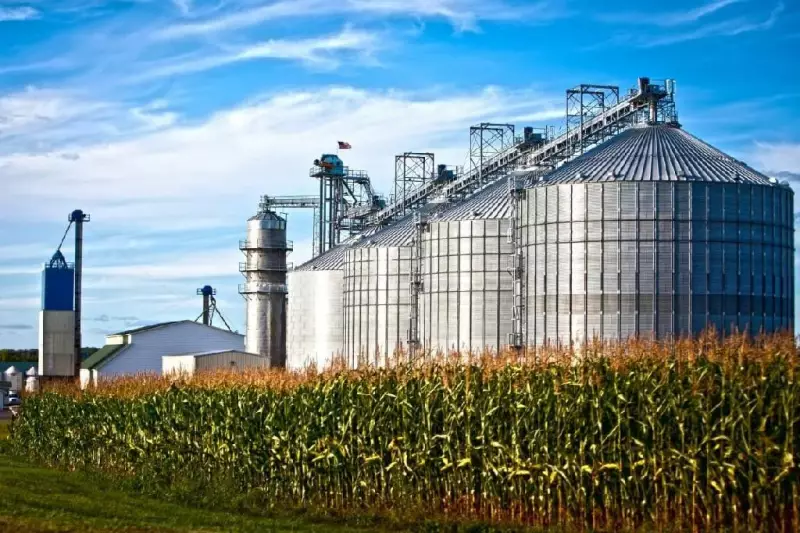 Operação em MT desmantela esquema de sonegação fiscal no agronegócio