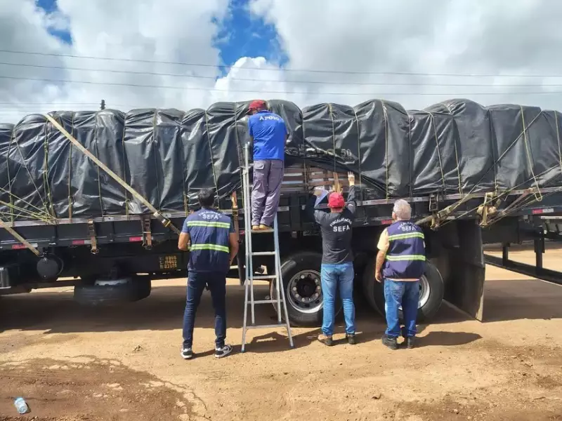 Operação fiscal apreende 16 toneladas de açaí com irregularidades no Pará