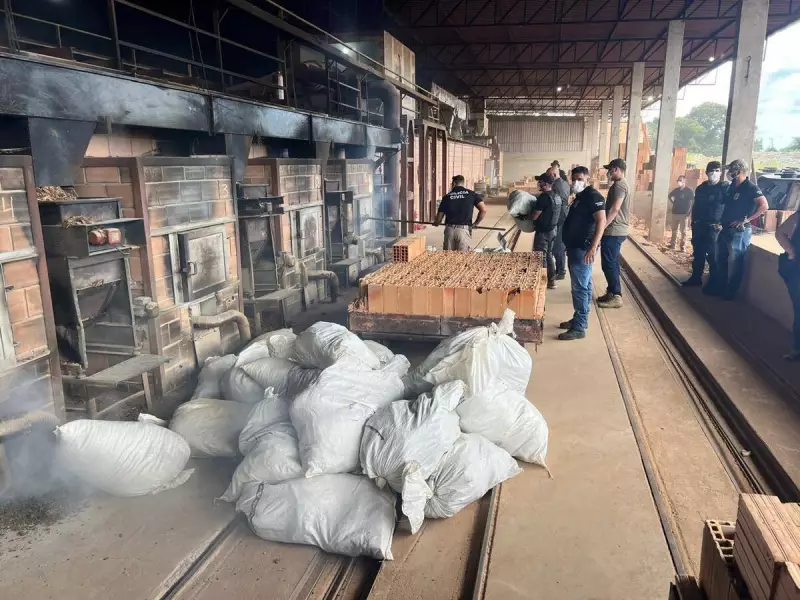 Operação Narke IV: 12 presos e mais de 2 toneladas de drogas incineradas na Bahia
