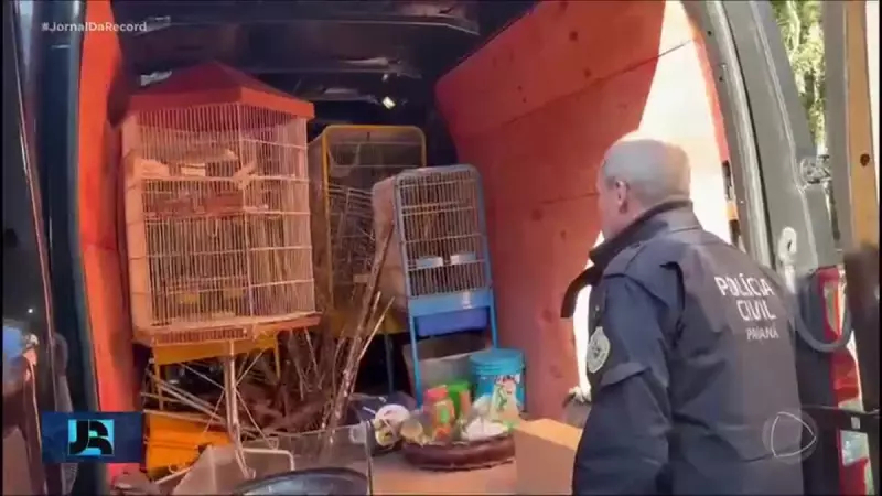 Operação policial desmantela rede internacional de tráfico de animais no Brasil