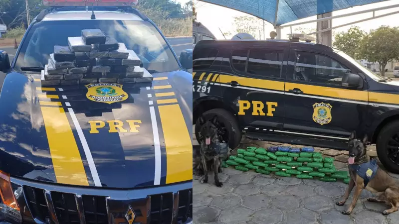 Operação policial prende quatro suspeitos de tráfico com mais de 65 kg de drogas na BR-316, no Piauí