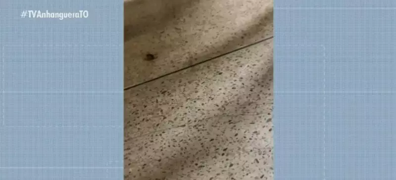 Pacientes em hospital lotado usam chinelos para matar barata em cena inusitada no Tocantins