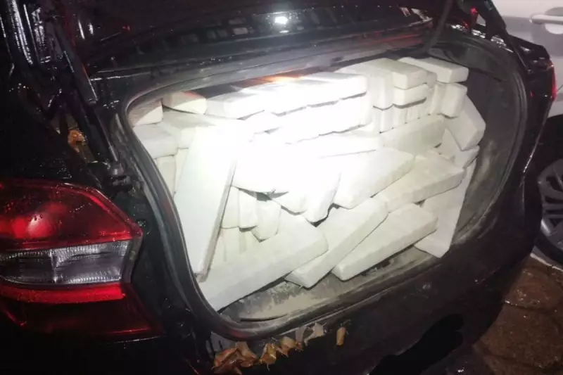 Pai e filho presos após troca de pneu na BR-101 em SC: entenda o caso