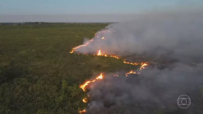Pantanal em chamas: incêndios devastam área equivalente a 90 mil campos de futebol em 40 anos