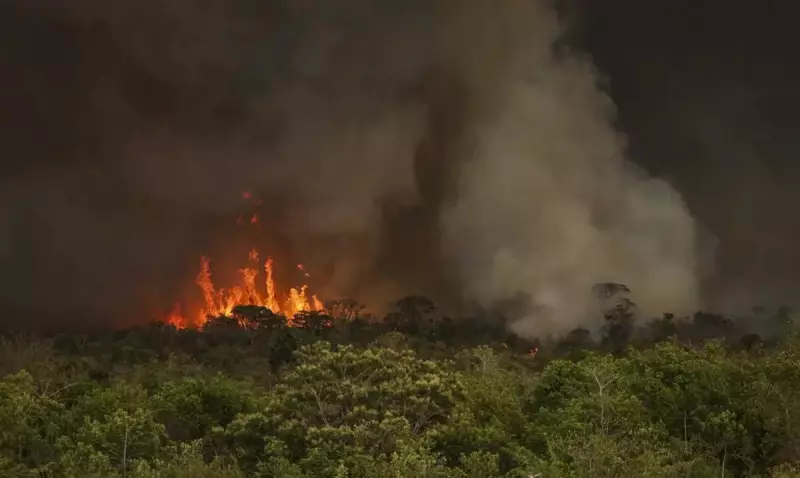Pará: Sede da COP30 é o segundo estado que mais desmatou em 2024