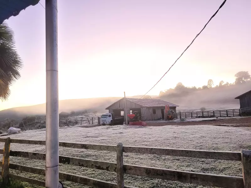 Paraná enfrenta geada e temperaturas de até 3°C: saiba quando e onde