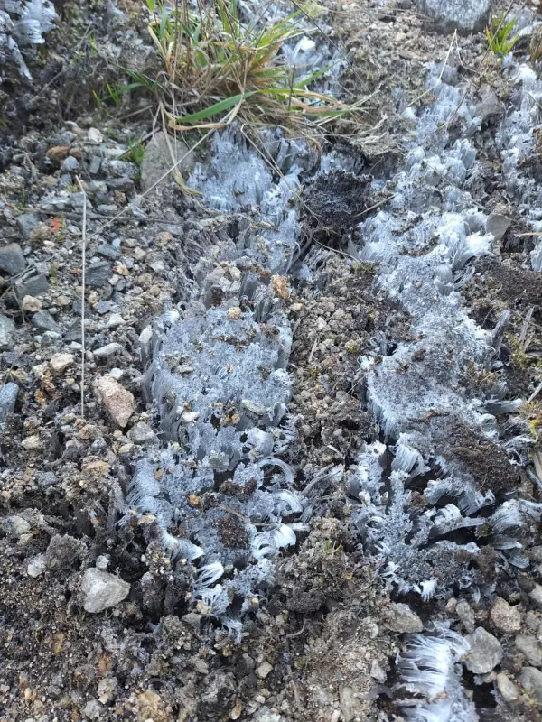 Parque Nacional do Itatiaia registra segunda temperatura mais baixa do ano: -9,2°C!