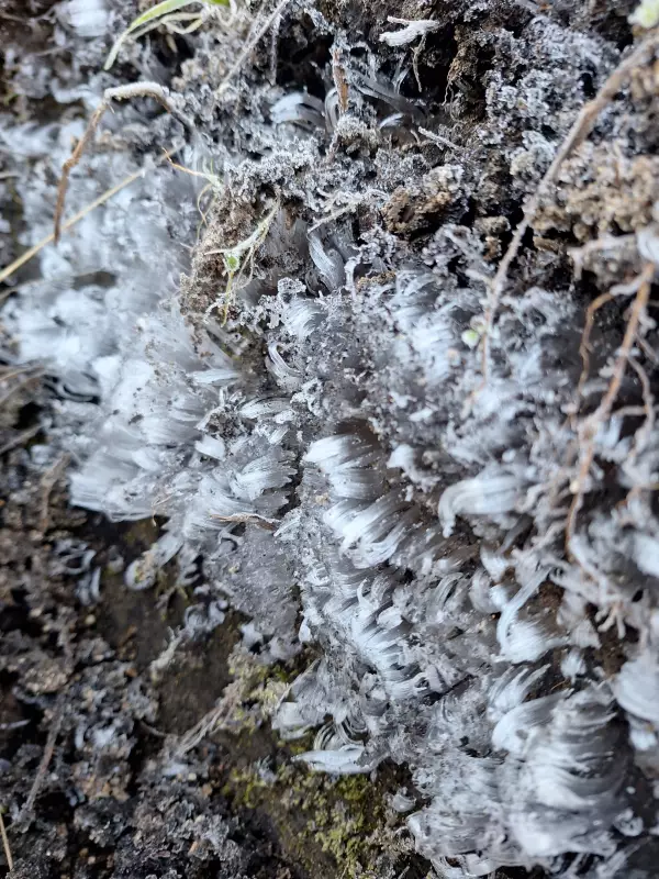 Parque Nacional do Itatiaia registra temperatura recorde de 68°C: veja o vídeo impressionante
