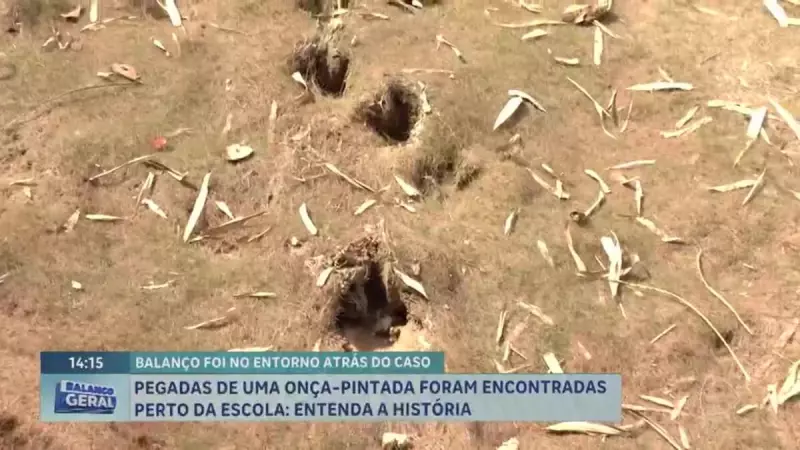 Pegadas de onça-pintada assustam moradores na zona rural de Cidade Ocidental (GO)