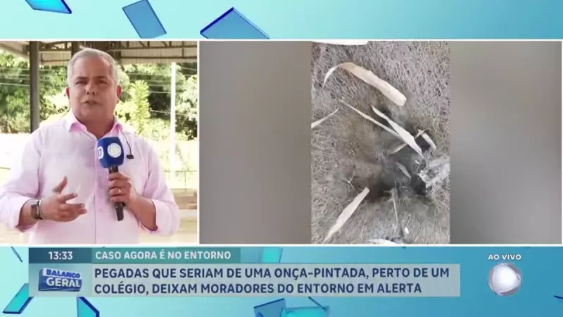 Pegadas de onça-pintada deixam moradores do Entorno do DF em alerta: o que fazer?