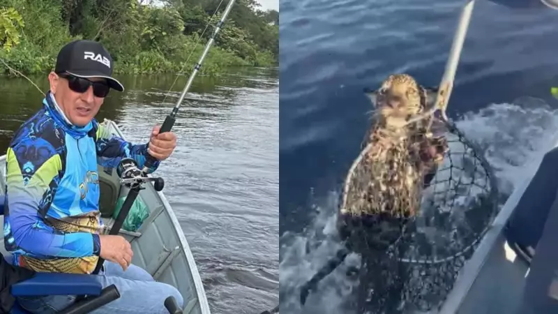 Pescador resgata filhote de onça-pintada no Pantanal: 'Jamais colocaria no barco'