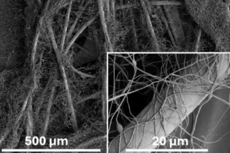 Pesquisa da UFSCar desenvolve spray com nanofibras que aumenta eficiência de filtros de ar