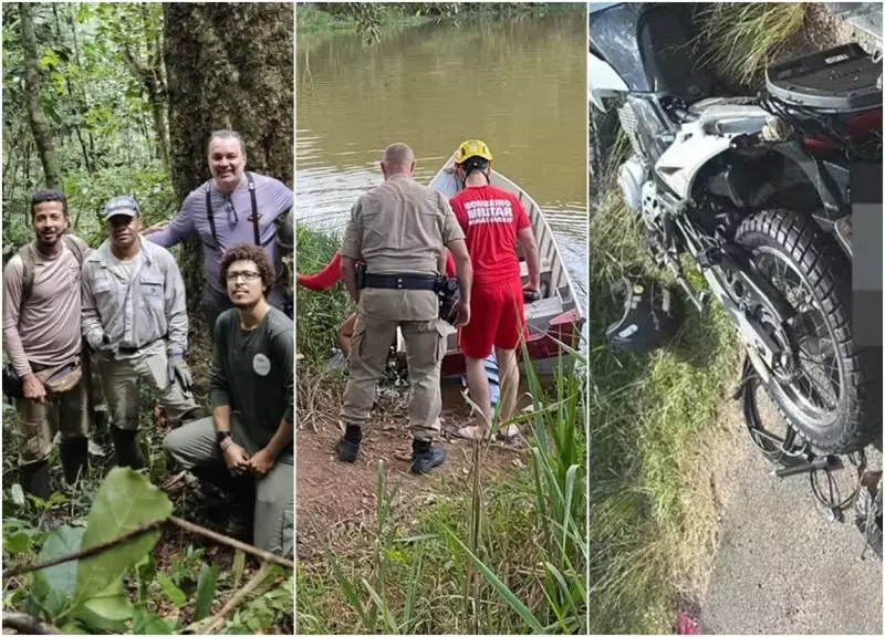 Pesquisador da UFV descobre maior Jequitibá-rosa do Brasil em meio a tragédias na BR-267