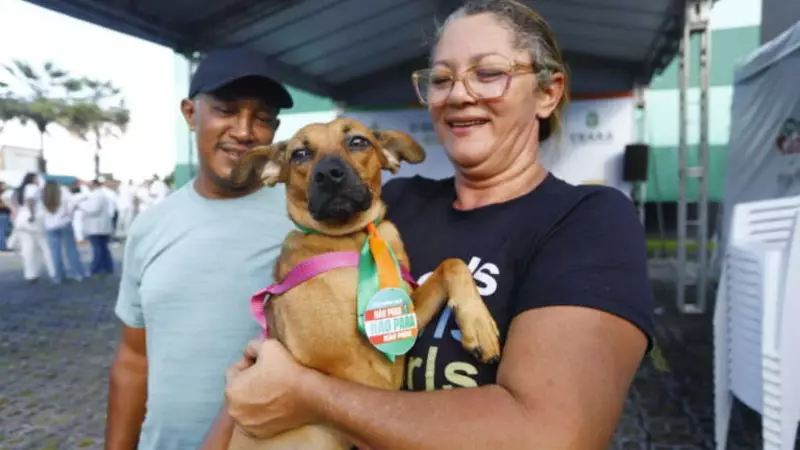 Pet Ceará Móvel oferece castração gratuita no Castelão em Fortaleza