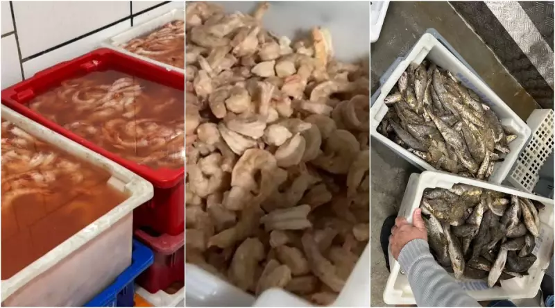PF desarticula esquema de fraude em pescados em 7 estados; suspeitos adicionavam água e capturavam espécies proibidas