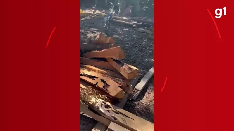 PF destrói máquinas usadas em desmatamento ilegal em terra indígena de Rondônia | Vídeo