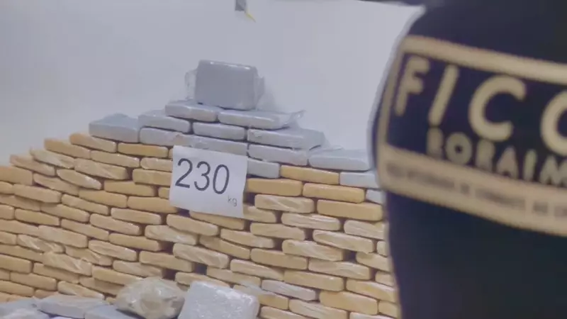 PF prende trio com 230 kg de maconha em operação em Roraima | G1 RR