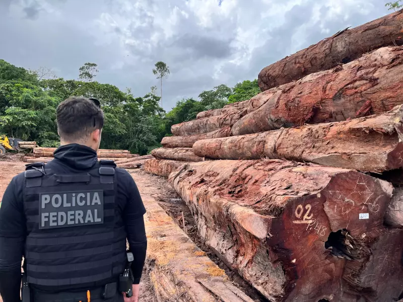 PF revela desmatamento ilegal de 230 mil m² em área protegida no Amapá