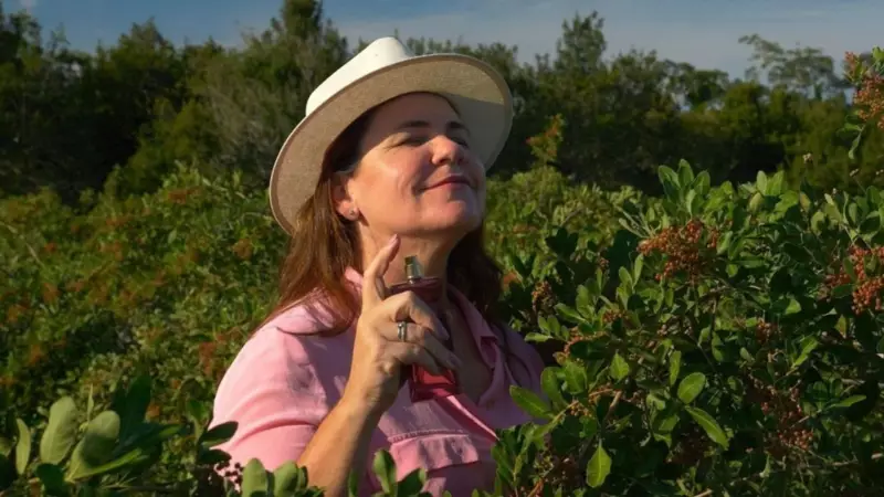 Pimenta-rosa do ES conquista a indústria de cosméticos: descubra o potencial dessa joia capixaba!