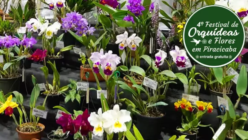 Piracicaba se enche de cores com o 4º Festival de Orquídeas no Engenho Central