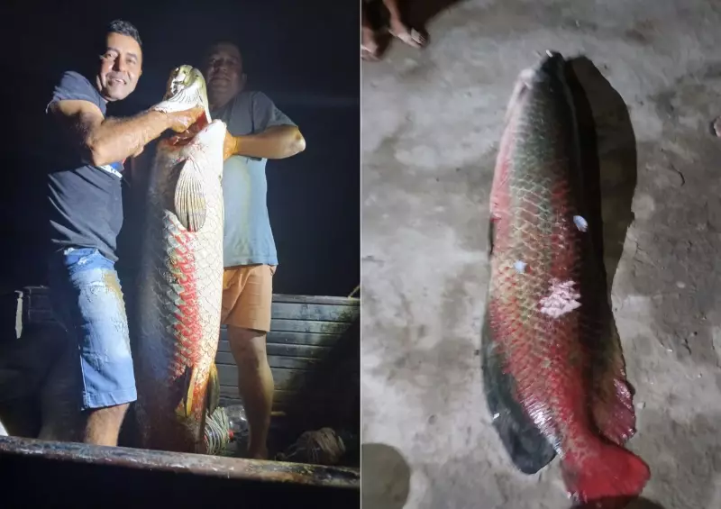 Pirarucu gigante é pescado no Lago Apodi e vira atração no RN
