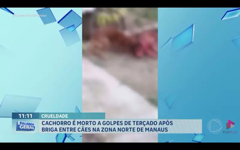 Pitbull é morto a golpes de terçado após invadir casa e atacar criança e outro cachorro em Manaus