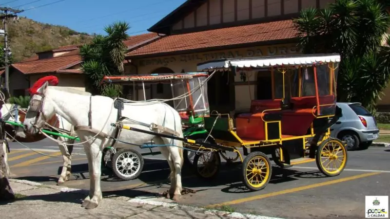 Poços de Caldas inova com carruagens elétricas para substituir charretes tradicionais