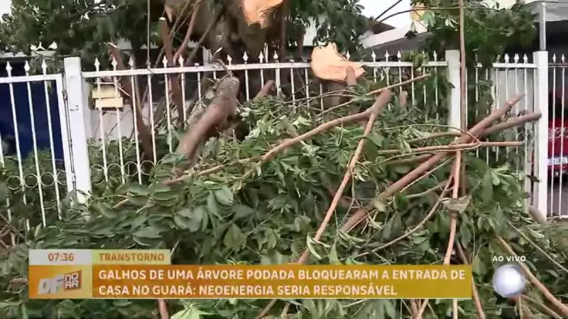 Poda de árvores bloqueia entrada de casa e causa transtornos a moradores do Guará, DF