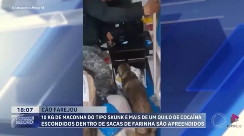 Polícia apreende 10 kg de maconha em embarcação perto de Coari, no Amazonas