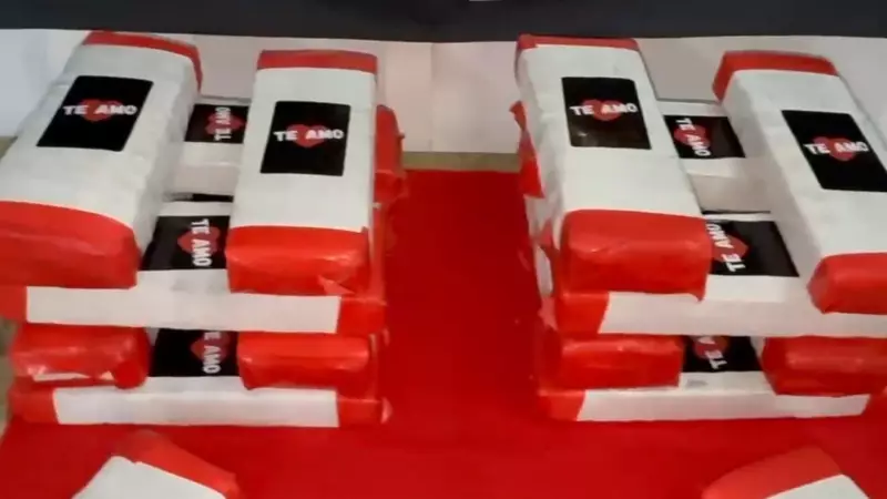 Polícia apreende 15 kg de maconha em mala de mulheres trans no Espírito Santo