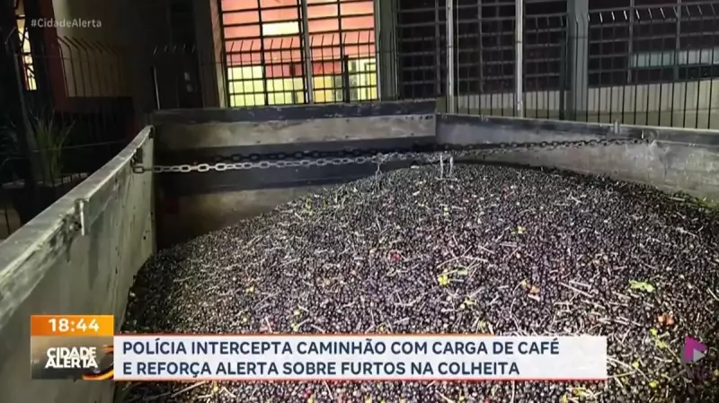 Polícia apreende caminhão de café com placa adulterada em Pedregulho, SP