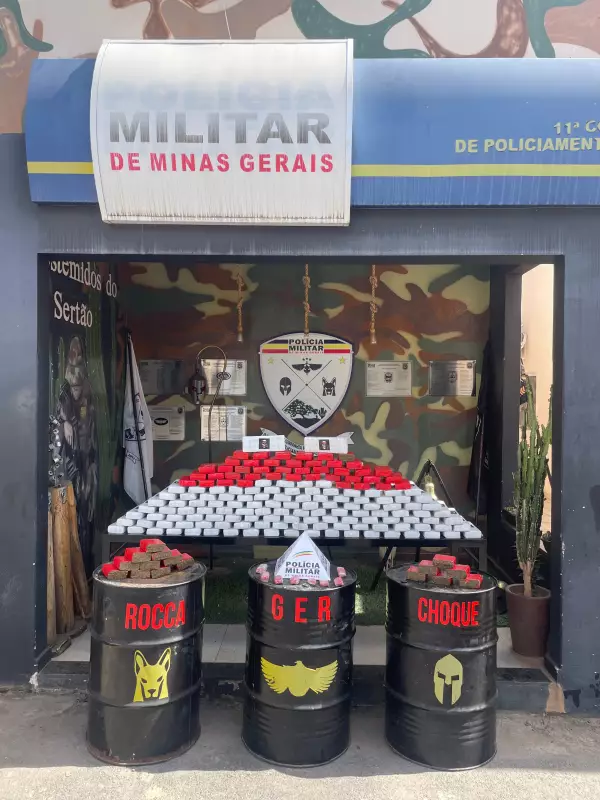 Polícia apreende mais de 170 barras de maconha escondidas em rolos de tapete em Montes Claros