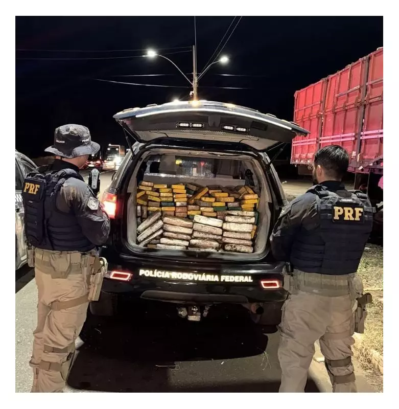 Policia apreende mais de 200 kg de drogas em caminhão na BR-316, em Picos; motorista foge