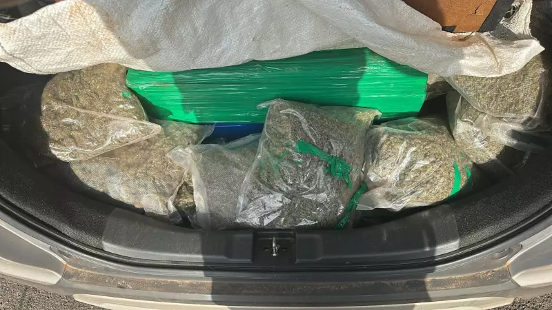 Polícia apreende mais de 200 kg de maconha em rodovia de Bauru: veja detalhes da operação