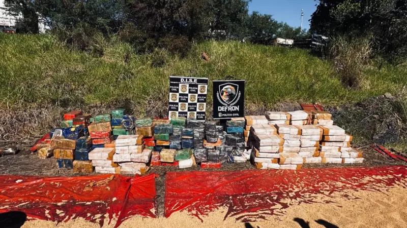 Polícia Civil apreende 72 toneladas de maconha escondidas em carga de soja no Porto de Santos