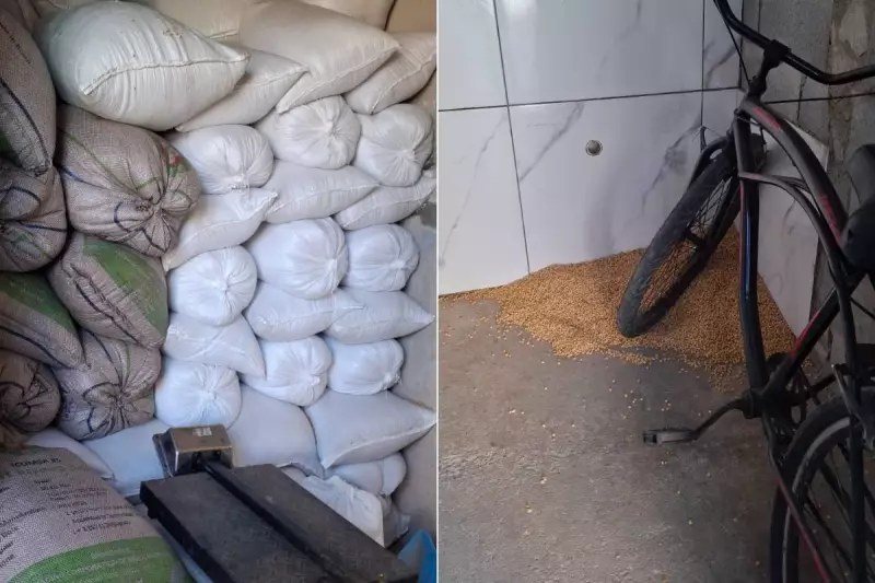 Polícia Civil recupera 45 toneladas de soja furtada em ferrovias do litoral de SP
